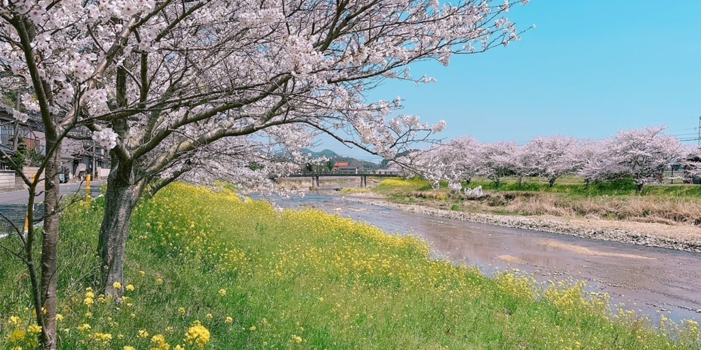 風景